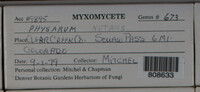 Image Associated With the Occurence